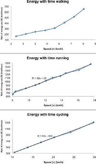 Cosa Brucia Più Calorie: Camminare O Andare In Bicicletta?